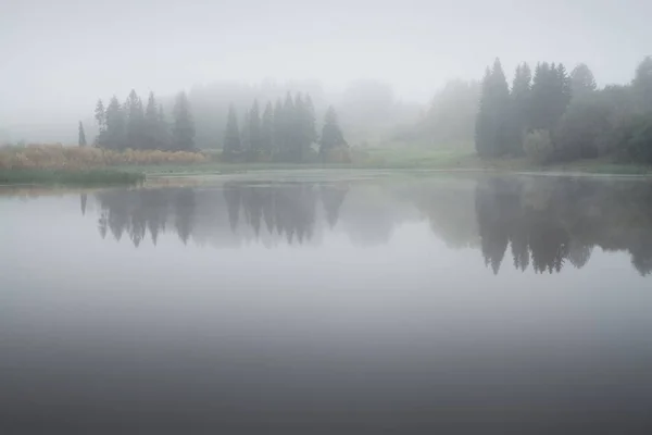 Αντανάκλαση Των Δέντρων Στη Λίμνη Ένα Ομιχλώδες Φθινοπωρινό Πρωί — Φωτογραφία Αρχείου