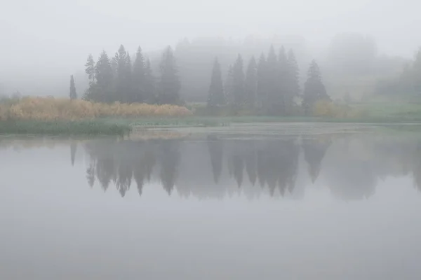Αντανάκλαση Των Δέντρων Στη Λίμνη Ένα Ομιχλώδες Φθινοπωρινό Πρωί — Φωτογραφία Αρχείου