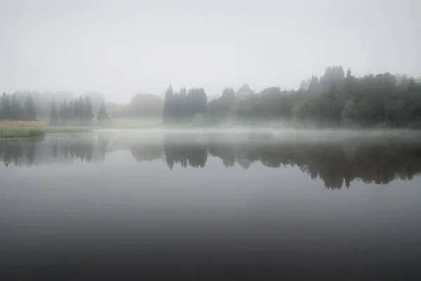 霧の秋の朝の池の木の反射 — ストック写真