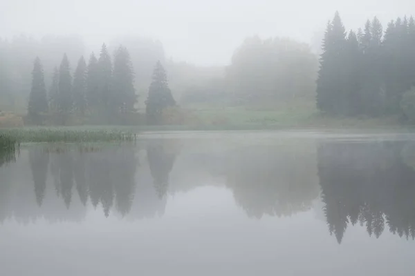 Reflexion Der Bäume Teich Einem Nebligen Herbstmorgen Stockbild