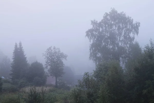 Blick Vom Hügel Über Das Dorf Versteckt Nebel — Stockfoto