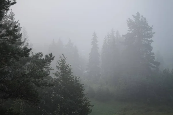 Blick Vom Hügel Über Das Dorf Versteckt Nebel lizenzfreie Stockfotos