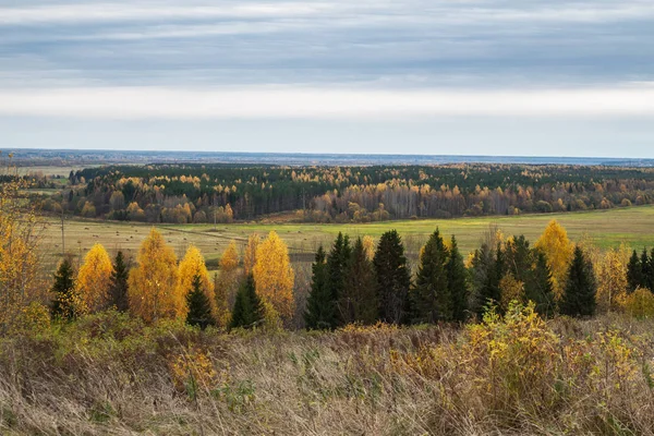 Вид Наклонное Поле Лес Пасмурный Осенний День — стоковое фото