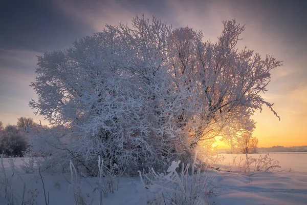 Зимний закат — стоковое фото