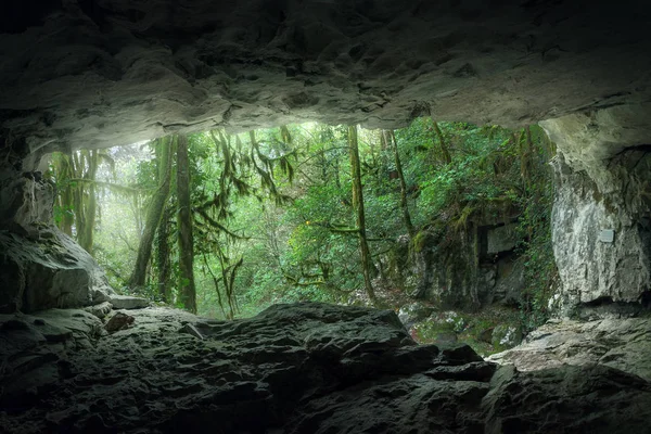 Vista da caverna para a floresta de montanha Fotografia De Stock