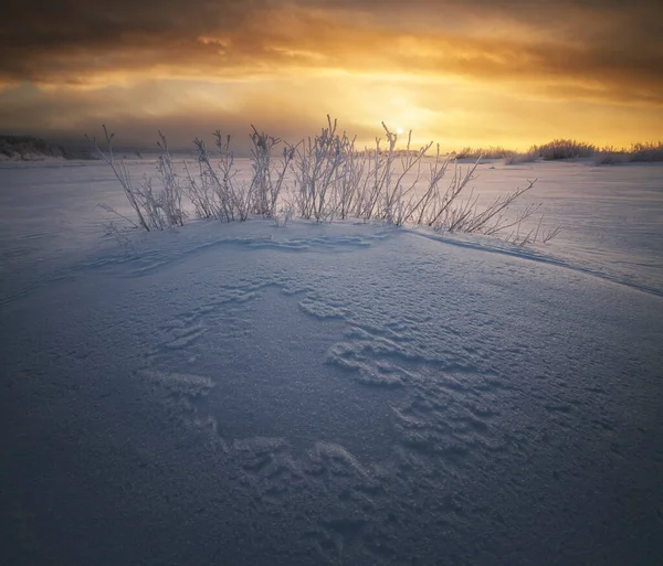 Zimowy Krajobraz Zachodzie Słońca Obraz Stockowy