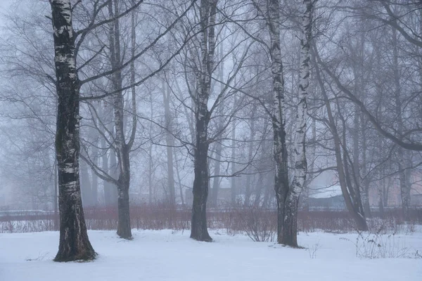 Mistige Ochtend Een Stad Park Winter — Stockfoto