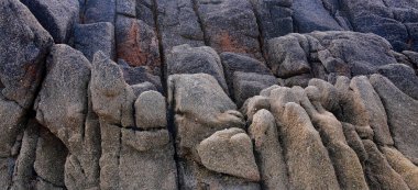 Cliff üzerinde kayalık fosillerini