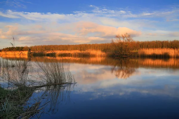 Nehir Maine Limerick Rlanda Gün Batımında — Stok fotoğraf