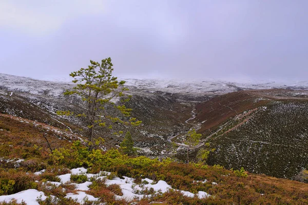 Highlands Της Σκωτίας Χειμώνα — Φωτογραφία Αρχείου