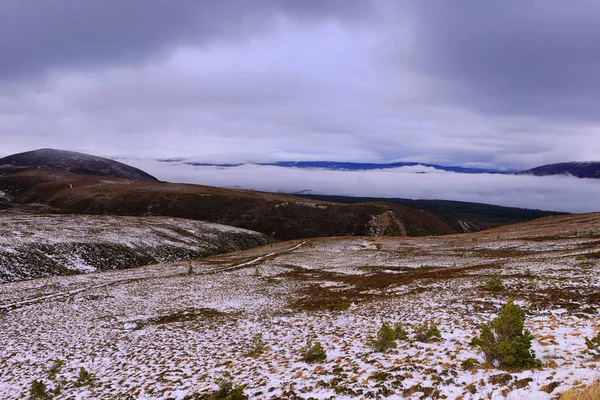 Highlands Écossais Hiver — Photo