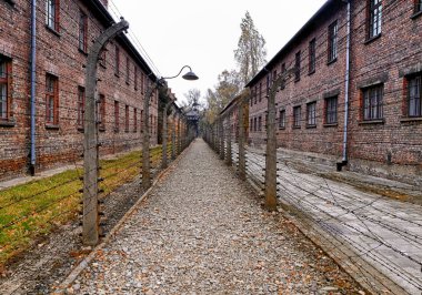 Dikenli tel, Auschwitz, Krakow, Polonya