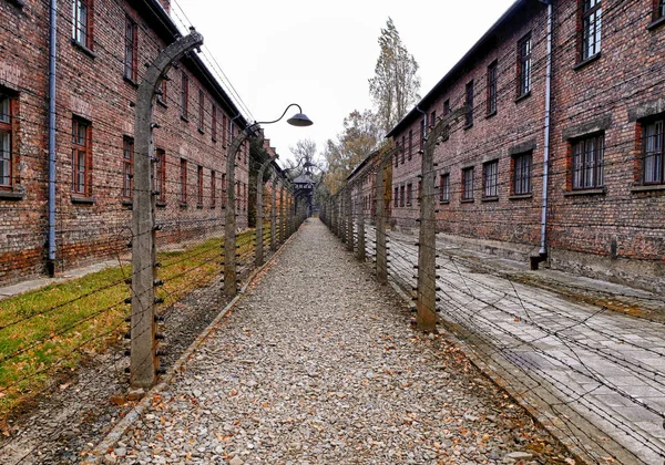 Filo Spinato Auschwitz Cracovia Polonia Foto Stock Royalty Free