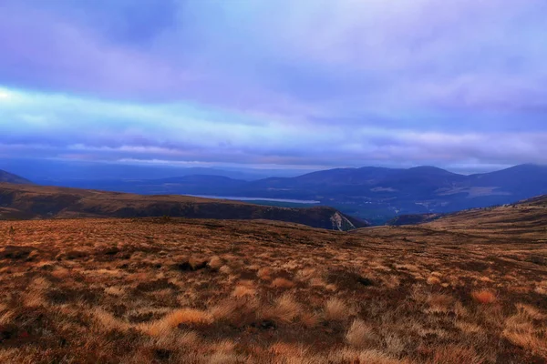 Cairngorm Dağları, Aviemore, İskoçya'da kış