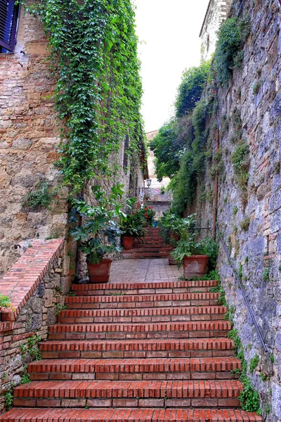 Древние Каменные Здания Улицы Lucca Tuscany Italy — стоковое фото