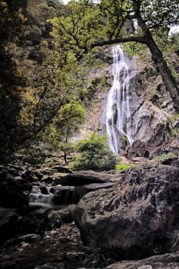 Powerscourt şelalesi, İrlanda'nın en yüksek şelalesi, Co. Wicklow