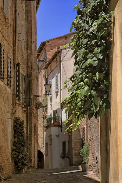 Узкая Аллея Сиене Тоскана Италия — стоковое фото