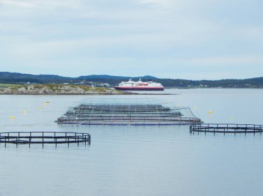 Balık çiftliği yüzen ile Norveç'te kafesleri 
