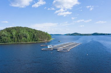 Rusya 'nın Karelia kentindeki tarım çiftlikleri.