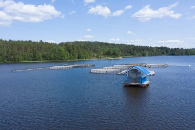 Rusya 'nın Karelia kentindeki tarım çiftlikleri.