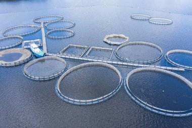 Aquaculture farms in Karelia, Russia clipart