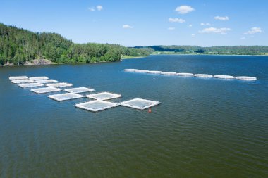 Rusya 'nın Karelia kentindeki tarım çiftlikleri.