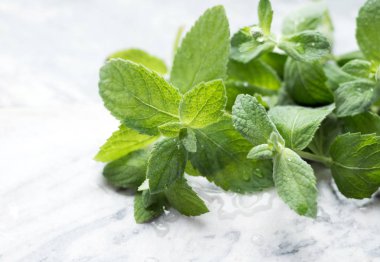 Taze nane mermer zemin üzerine bırakır. Yakın çekim