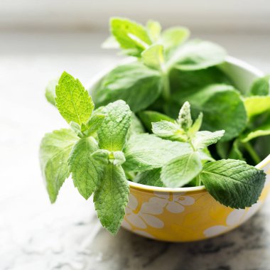 Taze nane mermer zemin üzerine bırakır. Yakın çekim