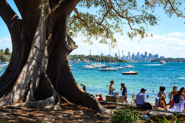 SYDNEY, AUSTRALIA - MARCH 18, 2018 - Friends and families relax under the shade of a huge tree in Robertson Park at Watson's Bay