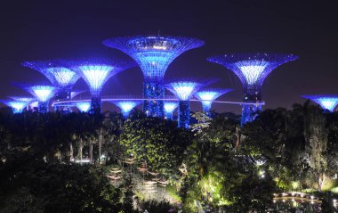Singapur - 8 Eylül 2018 - yapay parlayan Supertree Grove Gardens gece manzarası yukarıda Bay bölgesindeki yükselen