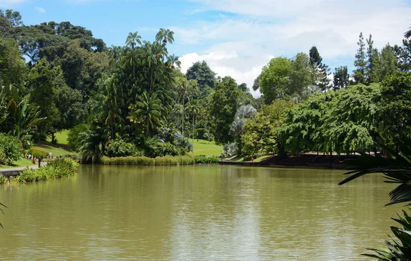 Spokojne Krajobrazy Wokół Symphony Lake Singapurze Botanic Gardens Obrazy Stockowe bez tantiem