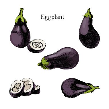 Beyaz arka plan üzerinde yalıtılmış bağbozumu mürekkep elle çizilmiş patlıcan.