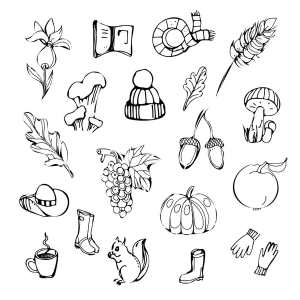 秋天集不同色彩的元素。帽子, 蘑菇, 橡子, 雨伞, 南瓜, 葡萄, 橡胶靴, 松鼠, 苹果, 杯子, 树叶, 书. — 图库矢量图片