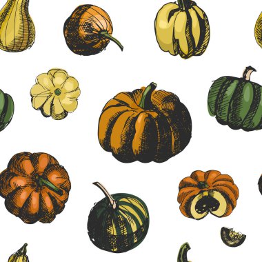Balkabağı vektör seamless modeli. İllüstrasyon kroki. Vintage mürekkep elle çizilmiş kabak, beyaz arka plan üzerinde izole topluluğu. Büyük kumaş, duvar kağıdı, ambalaj için.