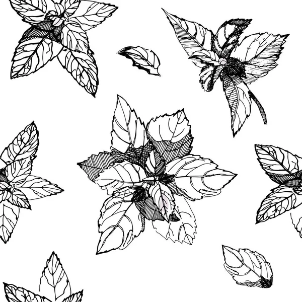 Nahtloses Schwarz-Weiß-Muster mit Basilikumblättern. Handgezeichnete Skizzenillustration aus Basilikum, isoliert auf weißem Hintergrund. pflanzliche Gewürz.detaillierte Skizzen.ideal für Stoffe, Tapeten. — Stockvektor