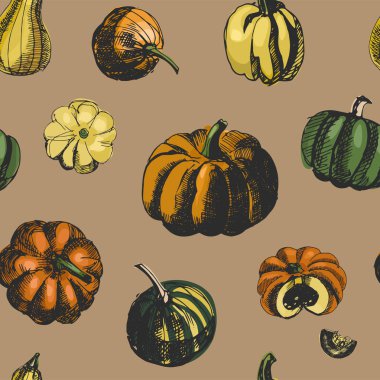 Balkabağı vektör seamless modeli. İllüstrasyon kroki. Vintage mürekkep elle çizilmiş kabak kahverengi zemin üzerine topluluğu. Büyük kumaş, duvar kağıdı, ambalaj için.