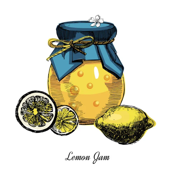Limón jamón. Ilustración dibujada a mano. Tinta colorido boceto de limones enlatados, aislado sobre fondo blanco . — Vector de stock