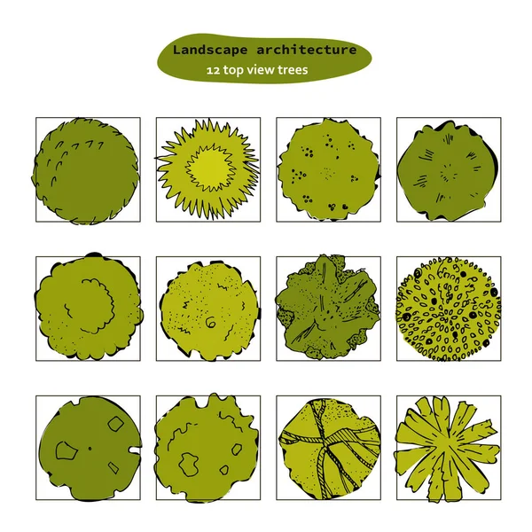 Vista superior vector conjunto de diferentes árboles verdes.Ilustración dibujada a mano para el diseño del paisaje, plano, mapas.Colección de árboles, aislados en el fondo blanco . — Vector de stock