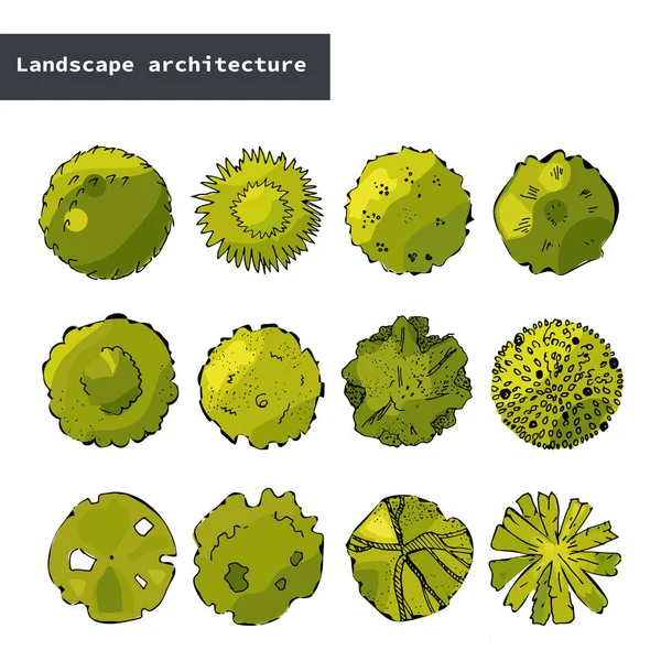 Top view vector set of different green trees.Hand drawn illustration for landscape design, plan, maps.Collection of cartoon trees, isolated on the white background. — Stock Vector