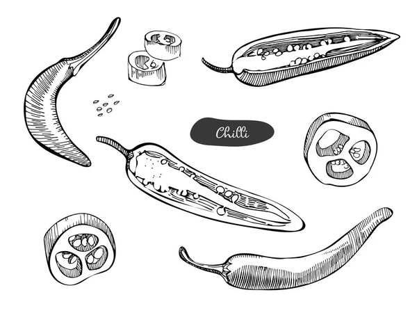 Chili Paprika Vektor Illustration. Vintage Tinte handgezogenen Pfeffer, isoliert auf weißem Hintergrund. Pfeffer in den Schnitt, Stücke, die Samen und Schoten. — Stockvektor