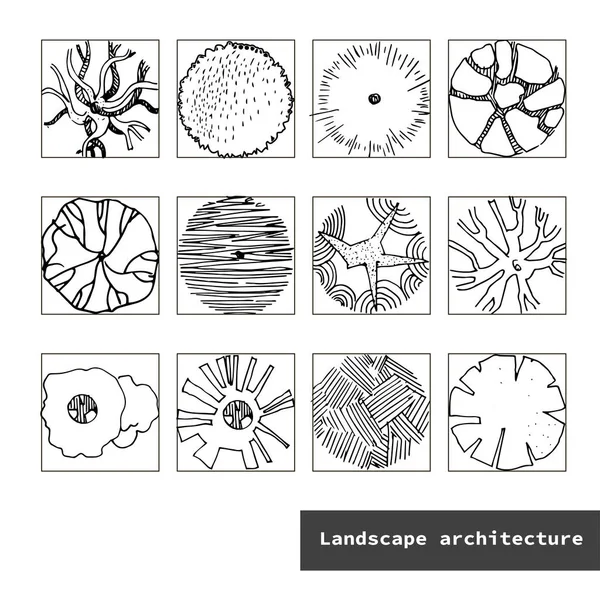不同树木的顶部视图向量集。为景观设计、平面图、地图绘制的手绘图解。在白色背景上隔离的树木集合。景观建筑. — 图库矢量图片