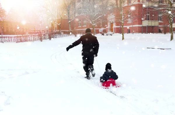 Apa Tekercs Gyermek Szán Család Játszik Kint Hóban Téli Családi — Stock Fotó