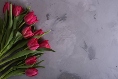 Portre üzerinde güzel pembe laleler