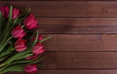 Portre üzerinde güzel pembe laleler