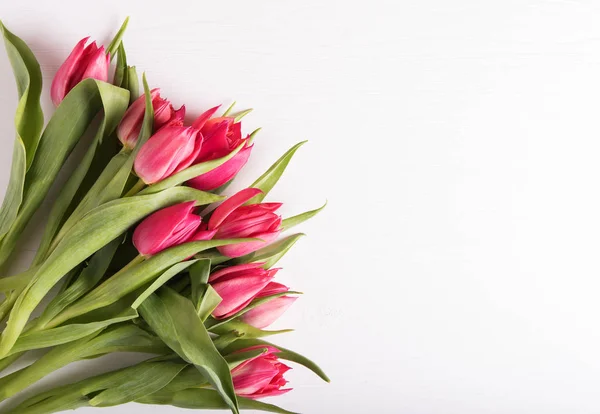 Primer plano sobre hermosos tulipanes rosados —  Fotos de Stock
