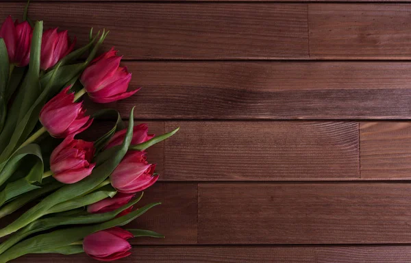 Крупный план на красивых розовых тюльпанах — стоковое фото