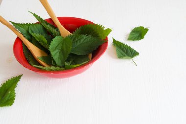 Masada taze ısırgan