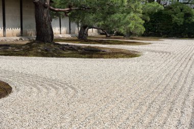 Tenryu-ji tapınağının Zen bahçesi, Kyoto, Japonya