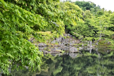 Tenryu-ji tapınağı nın göleti, Kyoto, Japonya