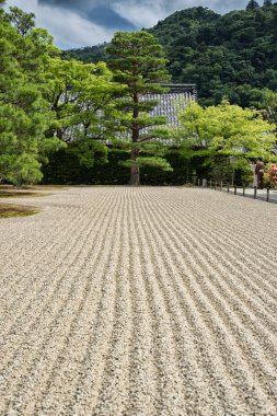 Tenryu-ji tapınağının Zen bahçesi, Kyoto, Japonya